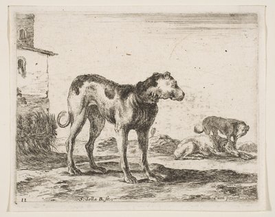 Planche 11 : chiens, de Divers animaux, vers 1641 - Stefano della Bella