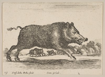 Planche 19 : sanglier, de Divers animaux, vers 1641 - Stefano della Bella