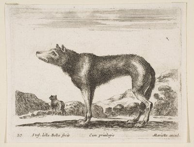 Planche 20: loup, de Diversi animali - Stefano della Bella