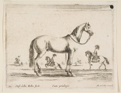 Cheval, de Diversi animali, 1641 - Stefano della Bella