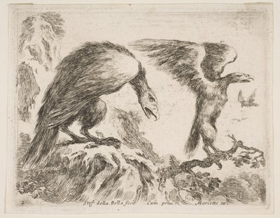 Planche 2 : aigle et aiglon, de Divers animaux - Stefano della Bella