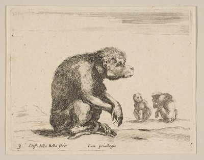 Singe assis, de Diversi animali - Stefano della Bella