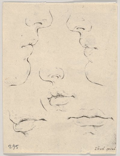 Planche 4 : deux profils et trois bouches, du Livre pour apprendre à dessiner, vers 1649 - Stefano della Bella