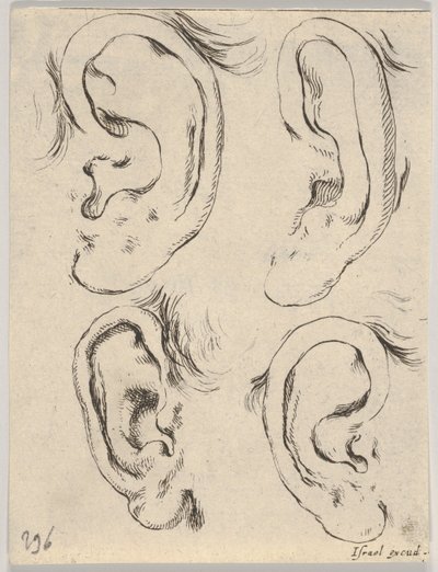 Planche 5: quatre oreilles, du Livre pour apprendre à dessiner, vers 1649 - Stefano della Bella