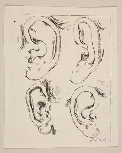 Planche 5 : quatre oreilles, du Livre pour apprendre à dessiner - Stefano della Bella