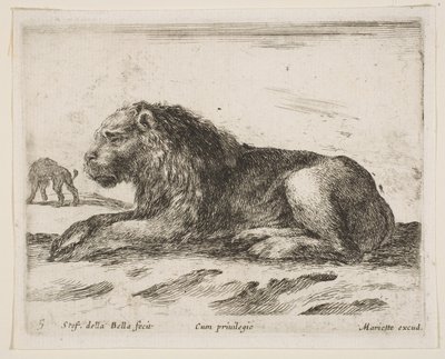 Lion couché, de Diversi animali - Stefano della Bella