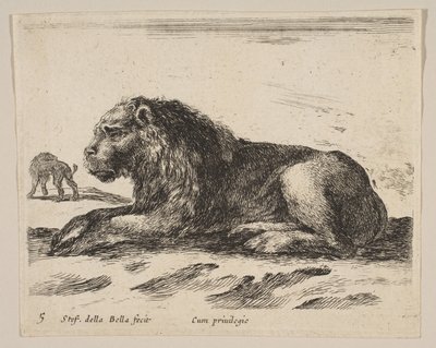 Planche 5 : lion couché, de Divers animaux, vers 1641 - Stefano della Bella