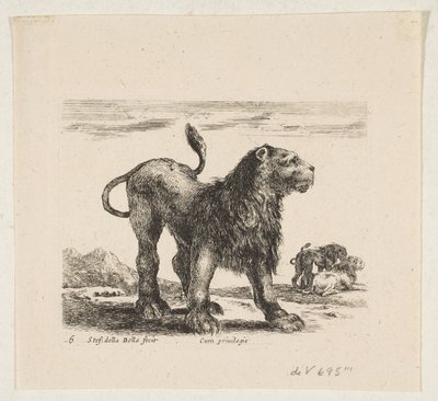Planche 6 : lion, de 