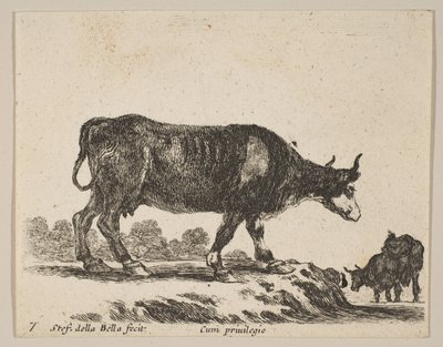 Vache, de Divers animaux - Stefano della Bella