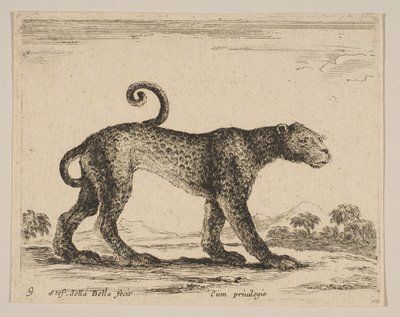 Plaque 9 : léopard, de Divers animaux, vers 1641 - Stefano della Bella