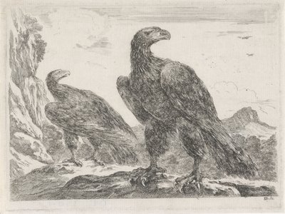 Deux aigles avec les têtes tournées vers la droite - Stefano della Bella