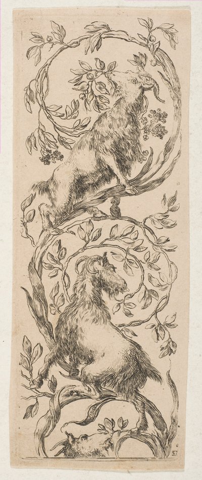 Deux chèvres grignotant des branches, vers 1653 - Stefano della Bella