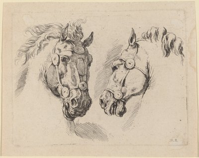 Deux têtes de cheval - Stefano della Bella