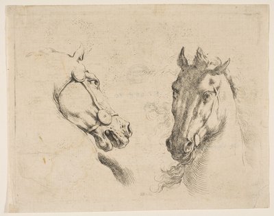 Deux têtes de cheval, vers 1649 - Stefano della Bella