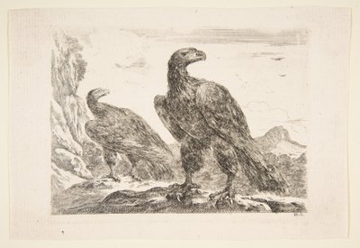 Deux aigles, des 