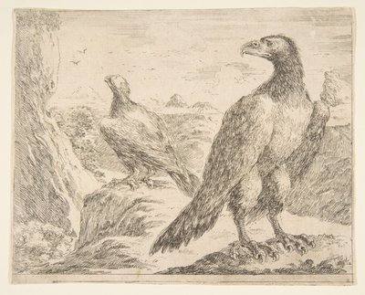 Deux aigles, des Aigles Les aigles, vers 1651 - Stefano della Bella