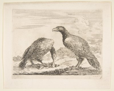 Deux aigles, l