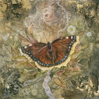  - Stephanie Law