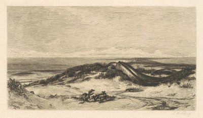 Le Serpent de mer - Stephen Alonzo Schoff, after Elihu Vedder