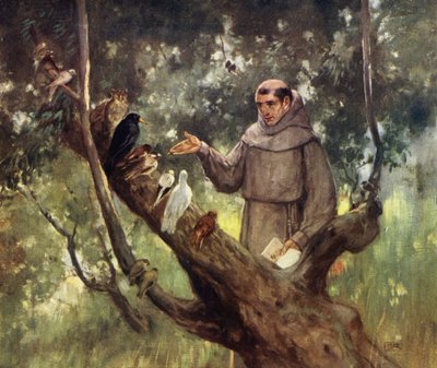 Saint François prêchant aux oiseaux - Stephen Reid