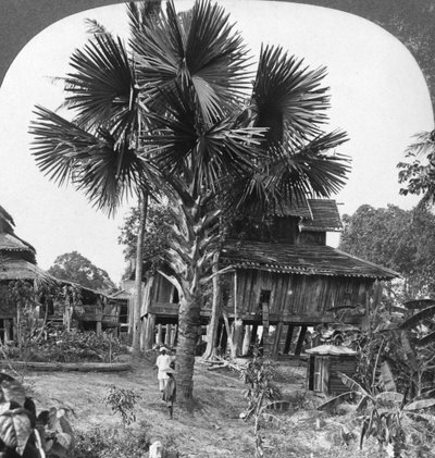 Maison indigène construite sur pilotis, Bhamo, Birmanie, 1908 - Stereo Travel Co