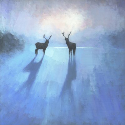 Les majestueux cerfs en hiver - Steve Mitchell