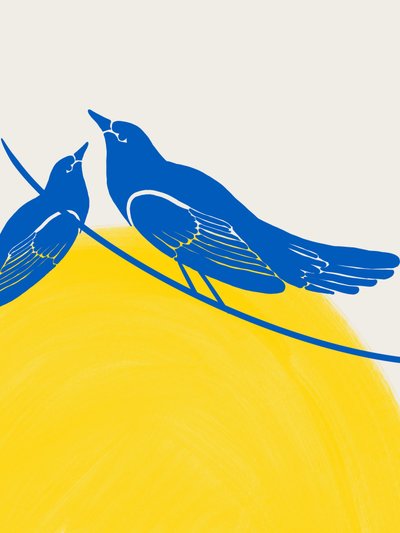 Les oiseaux bleus pleins d