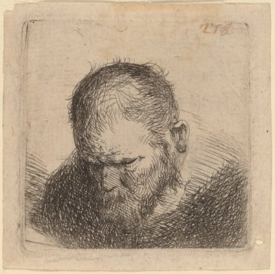 Homme barbu regardant vers le bas - Studio of Rembrandt van Rijn
