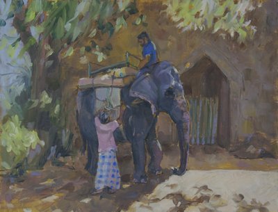 Éléphant, Sri Lanka, 2015 - Sue Wales