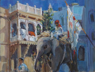 Éléphant à Jodhpur - Sue Wales
