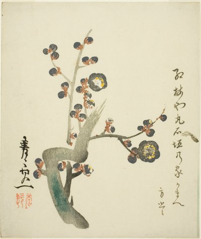 Branche de prunier rouge en fleur - Suzuki Kiitsu