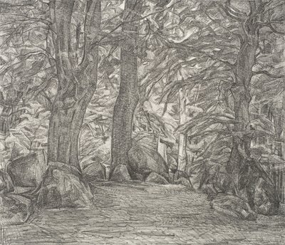 Paysage forestier de Falster - Svend Hammershøi