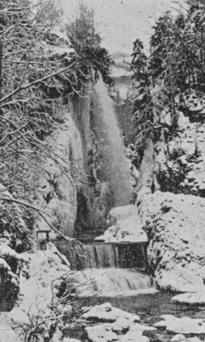 Les Gorges du Taubenloch, près de Bienne en hiver (photo n/b) - Swiss Photographer