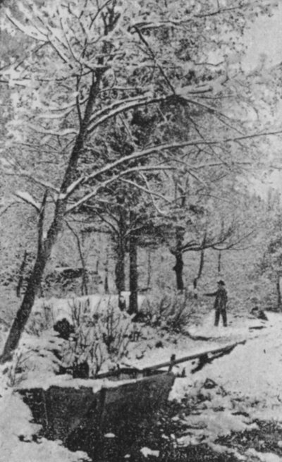 Paysage d
