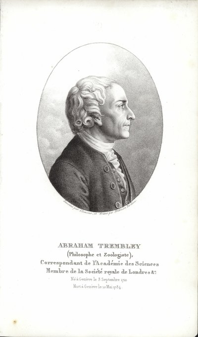Abraham Trembley - Swiss School