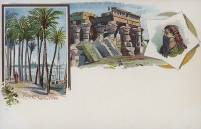 Scènes égyptiennes : palmiers sur les rives du Nil à Gezira, Le Caire, et le Temple de Kom Ombo - Swiss School