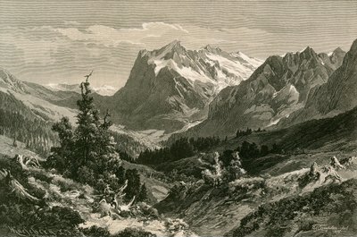 Près de Grindelwald, Oberland bernois - Swiss School