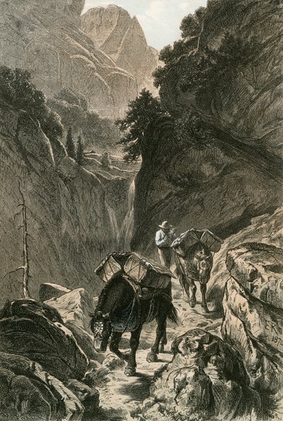 Chevaux de bât traversant un col de montagne - Swiss School