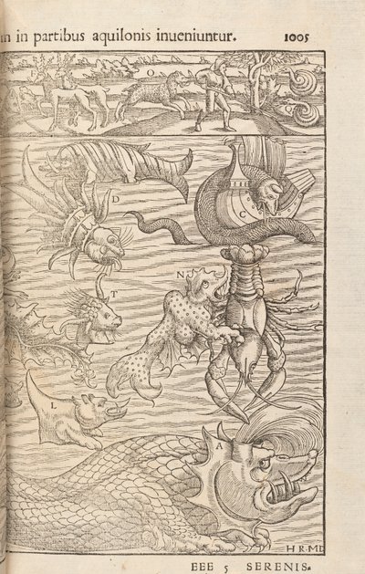 Page 1005 de Cosmographiae Universalis par Sebastian Muenster, Bâle, 1572 - Swiss School