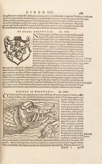 Page 983 de Cosmographiae Universalis par Sebastian Muenster, Bâle, 1572 - Swiss School