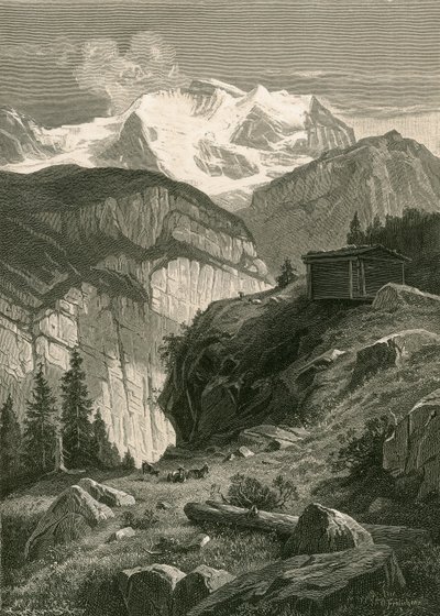 La Jungfrau - Swiss School