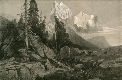 Le Wellhorn et le Wetterhorn - Swiss School