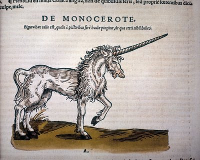 Licorne, illustration de 
