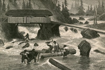 Flotteurs de Bois - Swiss School