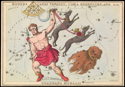 Bootes Canes Venatici, Coma Berenices et Quadrans Muralis, c.1825 - Sydney Hall