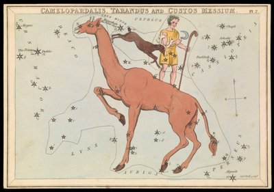 Camelopadalis, Tarandus et Custos Messium, c.1825 - Sydney Hall