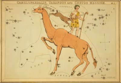 Camelopardalis, Tarandus et Custos Messium, Illustration de 