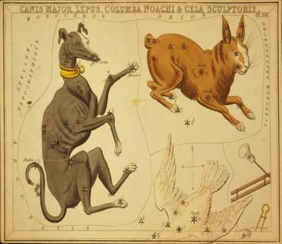Canis Major, Lepus, Columba Noachi & Cela Sculptoris, Illustration de 