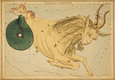 Capricorne, Illustration de 