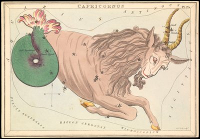 Capricorne - Sydney Hall